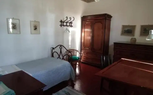 Agli Ippocastani