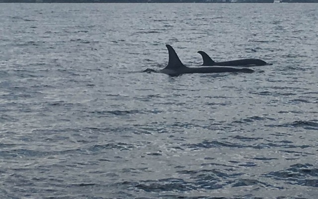 Sitka Hotel and Restaurant