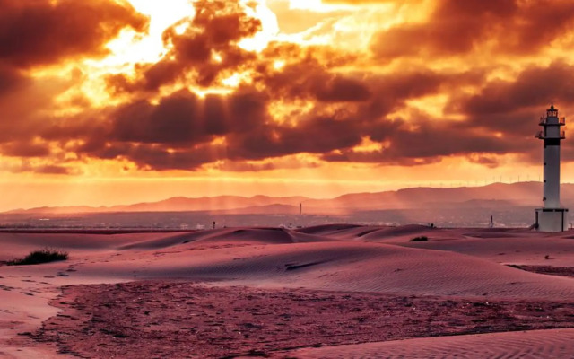 Apartament Deltament