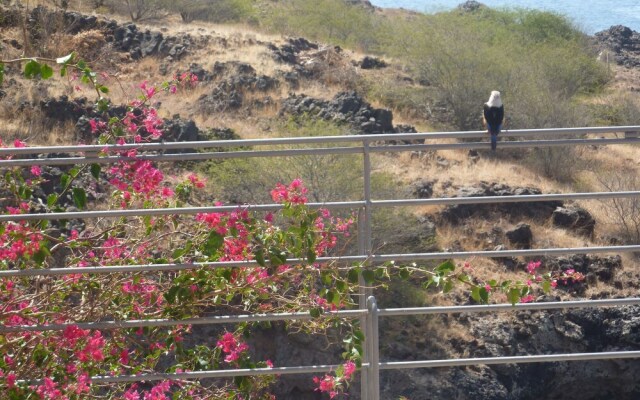 "villa Halcyon Cabo Verde"