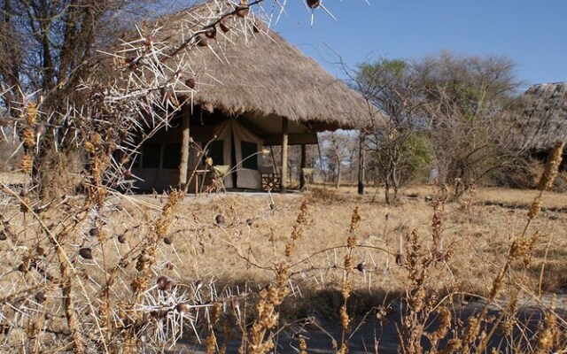 Whistling Thorn Tented Camp