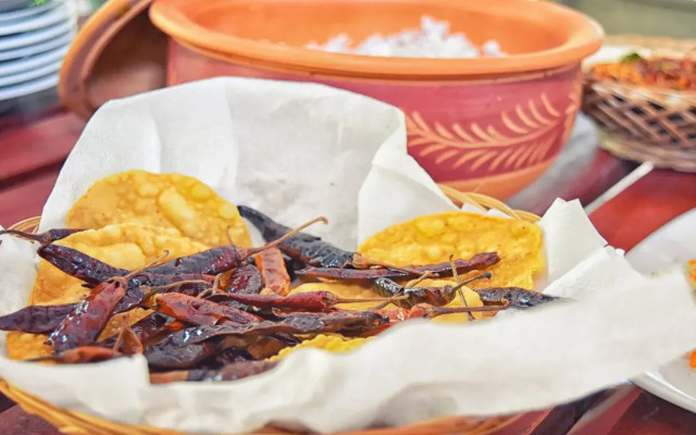 Wilderness Camping Yala