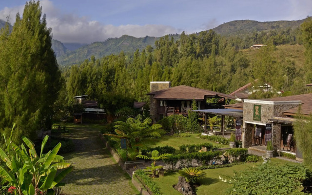 Java Banana Lodge Bromo