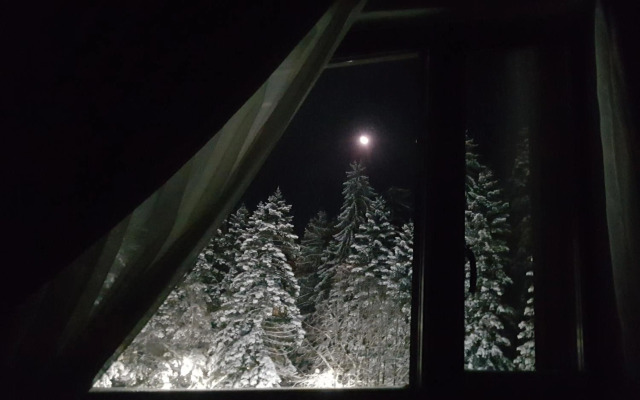 PinePino Borovets, aparthotel Borovets Gardens A60