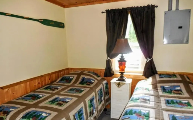 Knotty Pine- White Pine