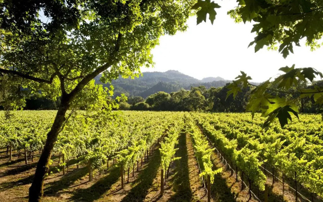 The Westin Verasa Napa
