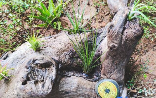 Yishibahao Courtyard Hostel