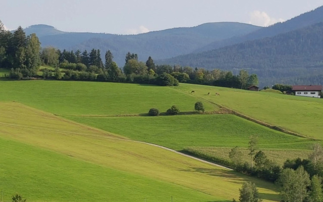 Wohnung Wiesengrün - Osserblick