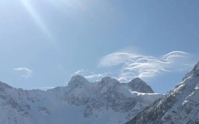 Alpenlofts Brand
