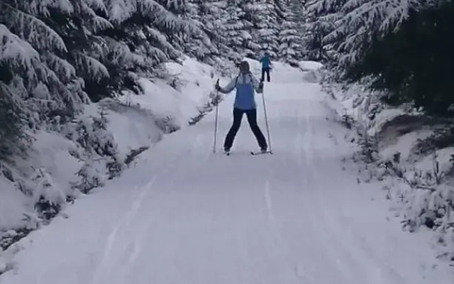 Daumler "house Am Weisswald"