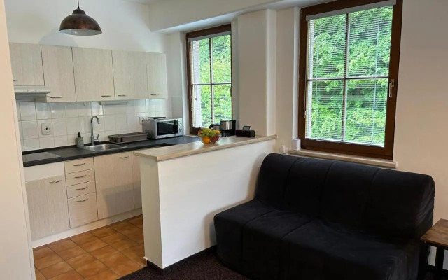 Apartman Spa Klínovec