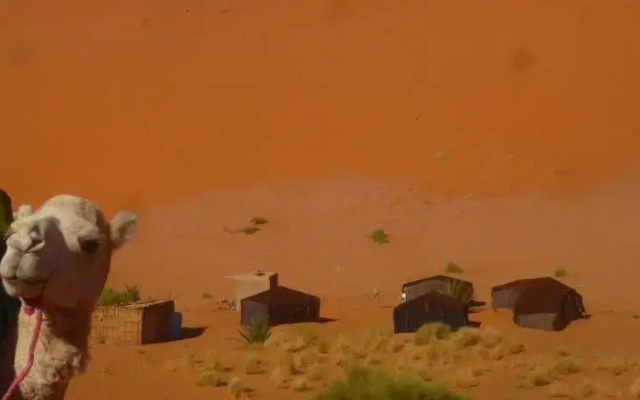 Oasis Camp