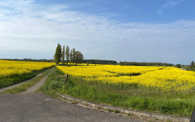 Ostseenest - Sonnige Ferienwohnung mit Ostseeblick
