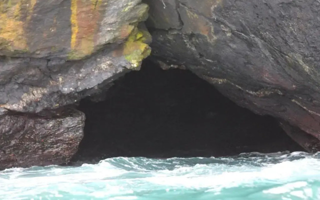 Cabaña Albergo Punta de Choros