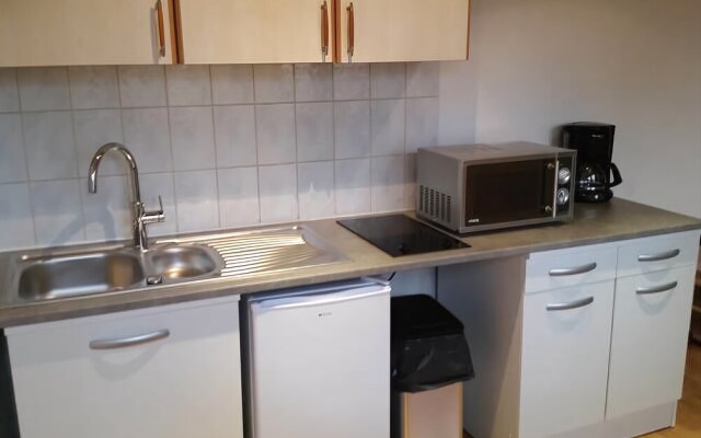 Appartement Les Tanneurs Colmar Le Green