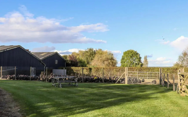 The Milking Parlour
