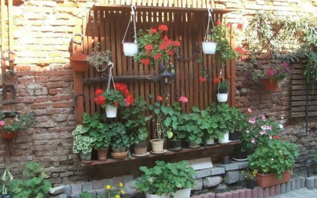 Guesthouse Casa Baciu
