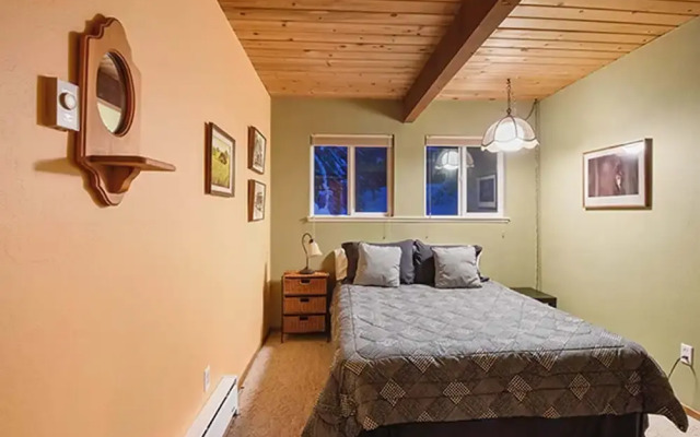 Comfy Alpine Meadows Endless fun