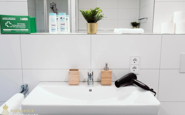 Pineapple Apartments Dresden Zwinger VI