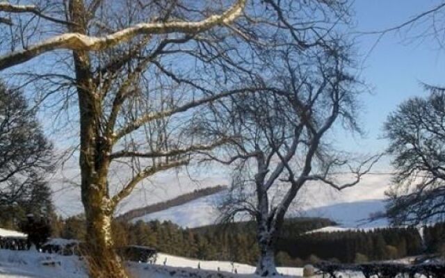 The Coppice