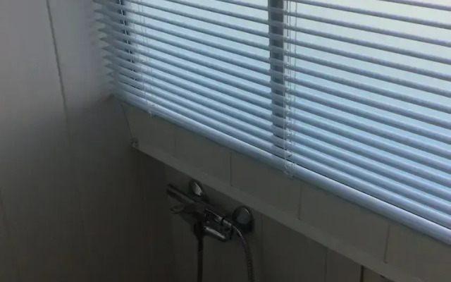 Penichette Oiseau Bleu