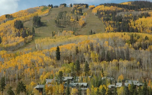 Centennial 1 Bedroom Condo Unit No. 13b