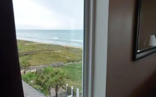 Beachfront Condo Unit 3