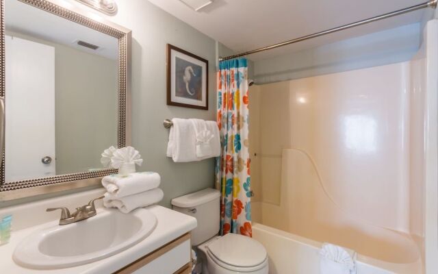 Tropical Winds by Hosteeva