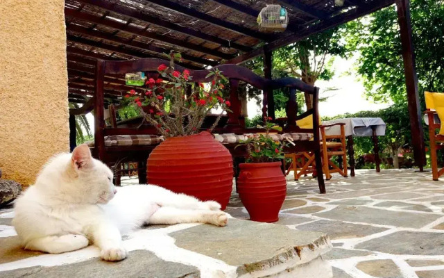 Vagia Beach Apartments