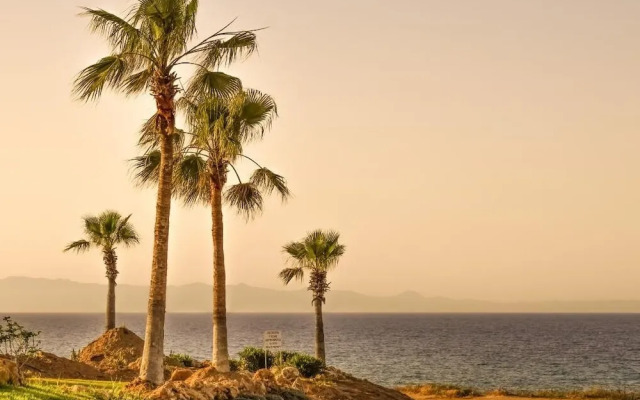 Eva Flats - Brand New Apts in Kapparis