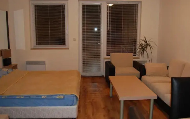 Studio 42 in Detelina Residense