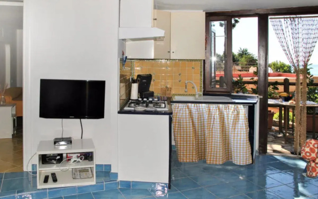 Apartment Molly Sperlonga
