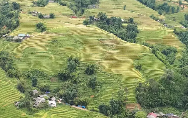 Thuan Ha Hotel Sapa