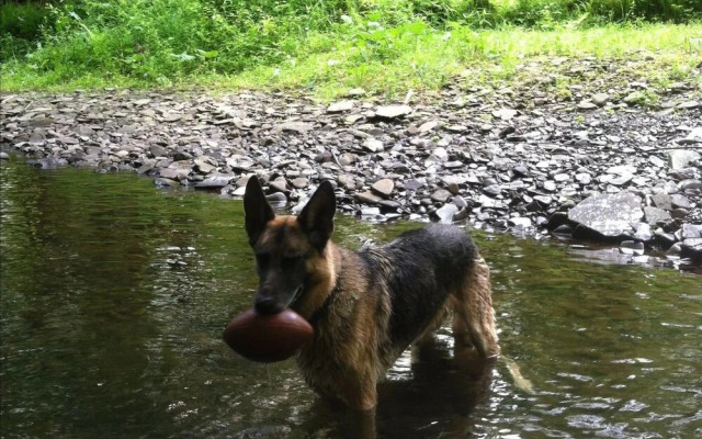 Tentrr - Sands Creek Camp