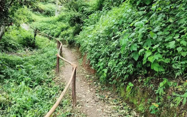 The sunbird retreat