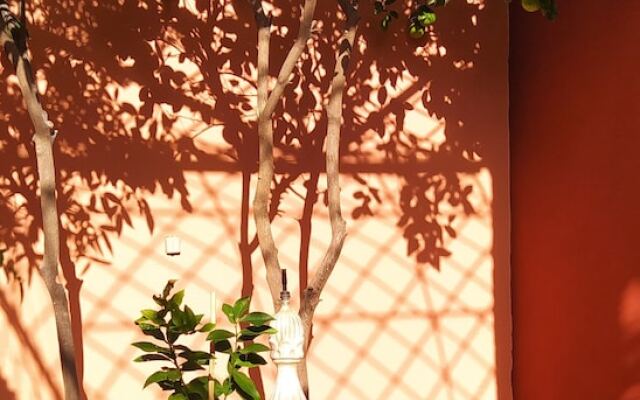 Le petit jardin Marrakech