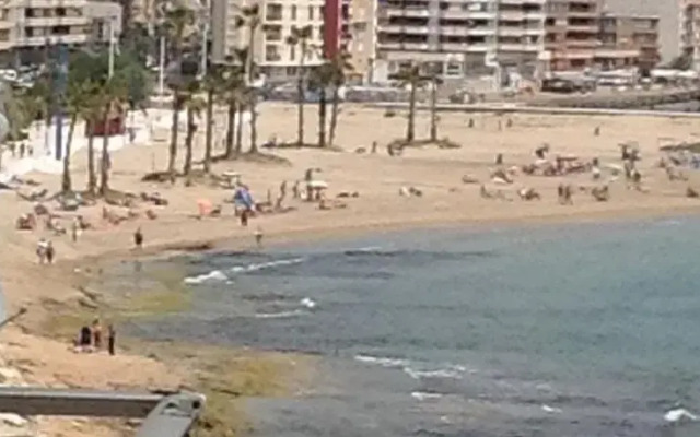Apartamentos Frente al Mar
