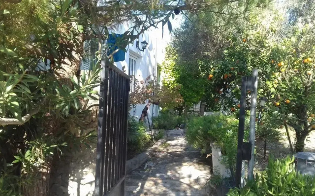 To spiti tou papa sto vouno