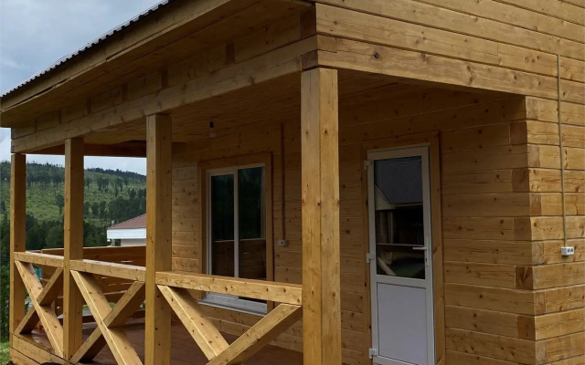 Кедр Золотой