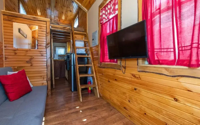 Tiny House Leadville