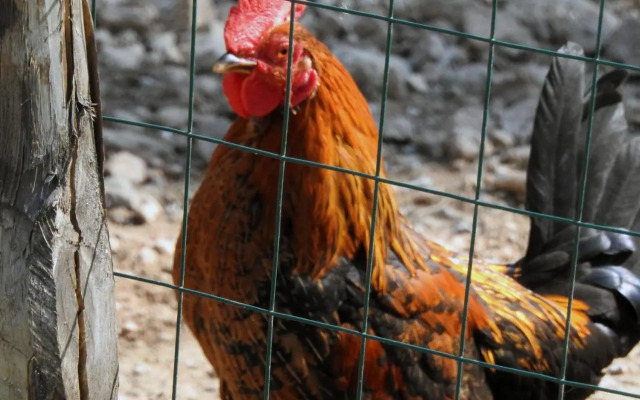 Agriturismo Agri Armonia