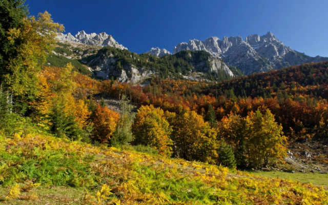 Ferienwohnungen Salvenmoser Johanna