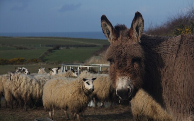 Bayview Farm Holiday Cottages