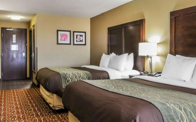 Comfort Inn & Suites Artesia