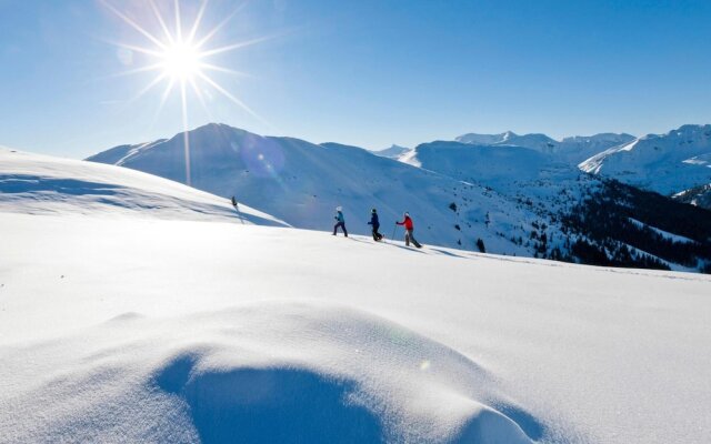 JUFA Hotel Planneralm - Alpin-Resort