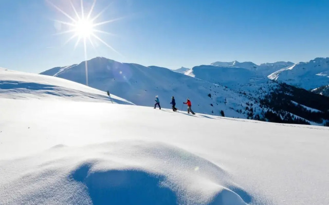 JUFA Hotel Planneralm - Alpin-Resort