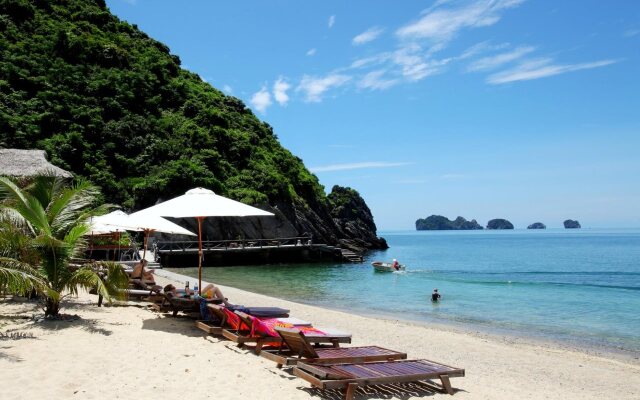 Monkey Island Resort