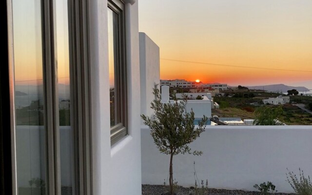 Nice Villas