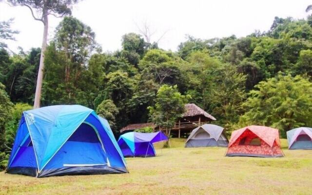 Tadplacamp Organic Farm Stay