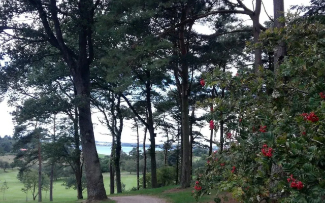 8 Person Holiday Home in Skals